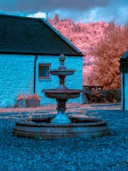 P7033234-Edit.jpg
